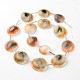 Oval Spiral Shell Bead Strands UK-SSHEL-F0009-01-K-1