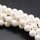 Shell Pearl Beads Strands UK-X-BSHE-E008-6mm-12-1