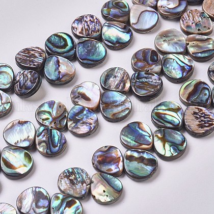 Abalone Shell/Paua Shell Beads Strands UK-BSHE-L043-03-1