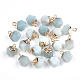 Electroplate Natural Amazonite Charms UK-X-G-S344-08F-1