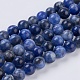 Natural Sodalite Beads Strands UK-G-G515-6mm-07-1