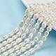 Natural Cultured Freshwater Pearl Beads Strands UK-PEAR-S012-41-1