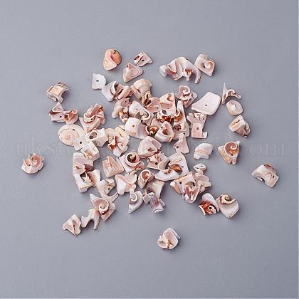 Natural Spiral Shell Beads UK-BSHE-S080-1