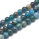 Natural Apatite Beads Strands UK-G-I254-08A-1