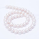 Natural Cultured Freshwater Pearl Beads Strands UK-PEAR-R063-17-2