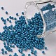 11/0 Grade A Baking Paint Glass Seed Beads UK-X-SEED-N001-A-1017-1