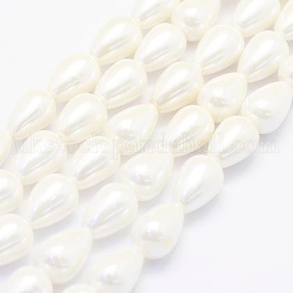 Shell Pearl Beads Strands UK-BSHE-P024-02-1