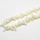 Natural White Shell Beads Strands UK-BSHE-O001-B-02-3