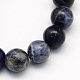Natural Sodalite Beads Strands UK-G-S162-10mm-K-1