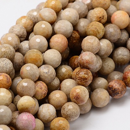 Faceted Round Natural Fossil Coral Bead Strands UK-G-L437-03-8mm-1